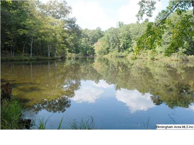 0 Highway 36, Unit 11 AC Chelsea, AL 35043 - Photo 2 of 3