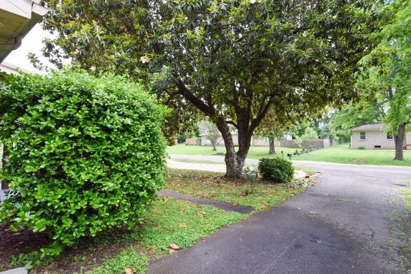 a view of a garden with trees