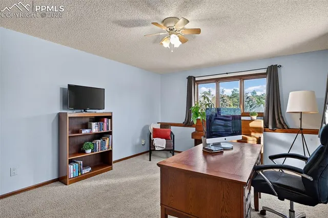 a living room with furniture a window and a flat screen tv