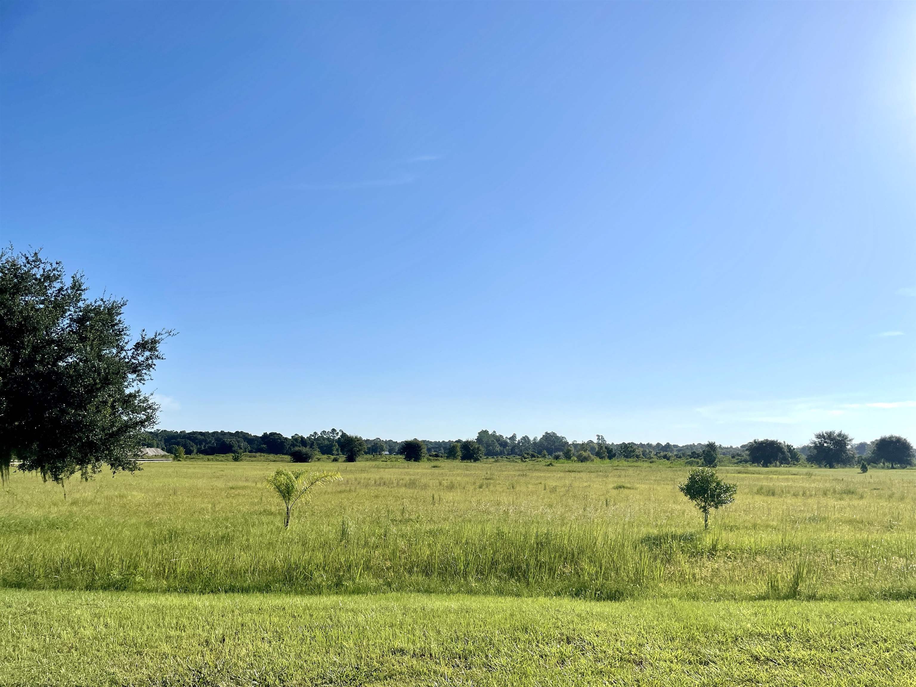 656 Pleasant Colony Road Elkton, FL 32033 - Photo 3 of 5 Gallery Image 3
