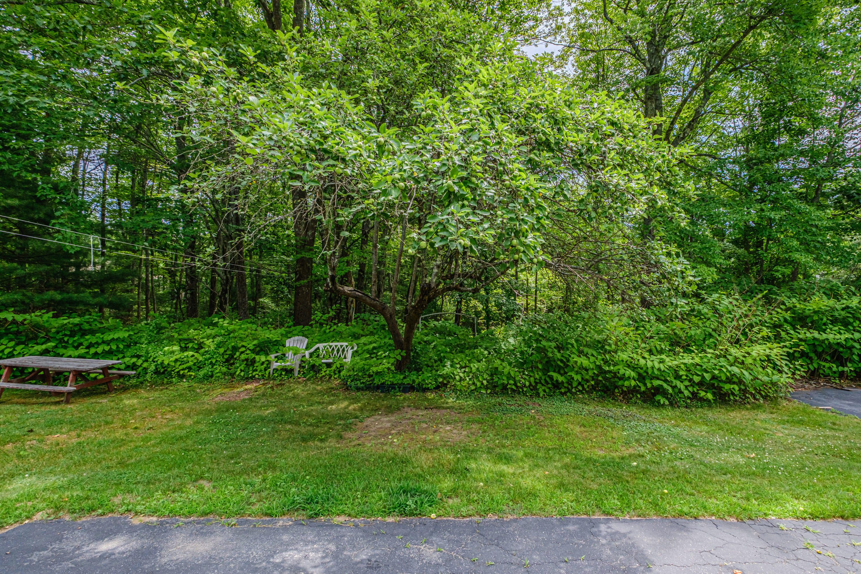 143 Broadturn Road Scarborough, ME 04074 - Photo 15 of 82 Side yard