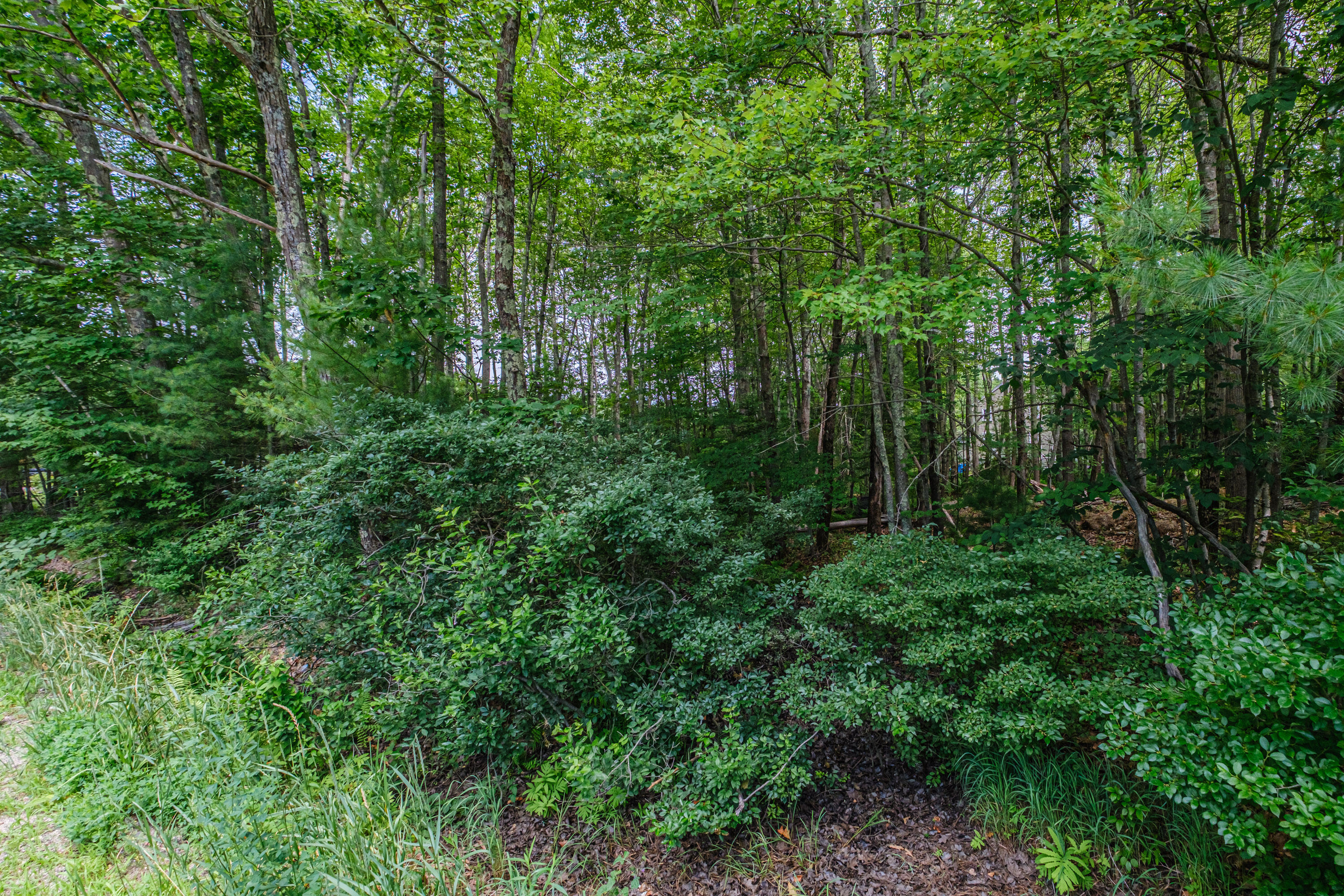 143 Broadturn Road Scarborough, ME 04074 - Photo 70 of 82 20250707gp-62065