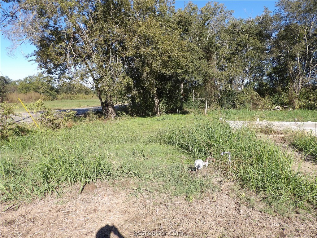 420 Seventh Street Lexington, TX 78947 - Photo 3 of 5