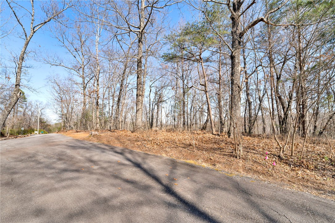 0 Emerald Crest Lane Cleveland, SC 29635 - Photo 11 of 15