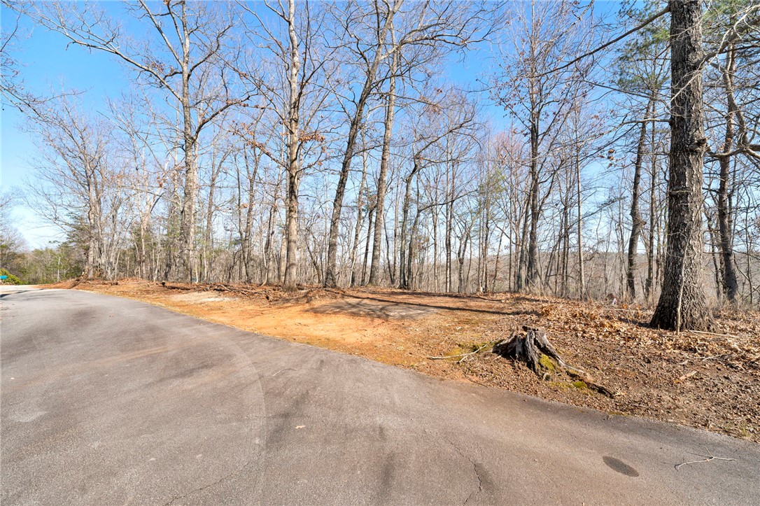 0 Emerald Crest Lane Cleveland, SC 29635 - Photo 12 of 15