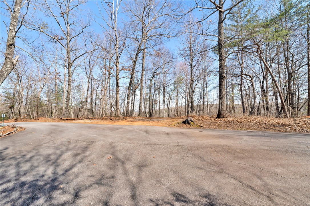 0 Emerald Crest Lane Cleveland, SC 29635 - Photo 13 of 15