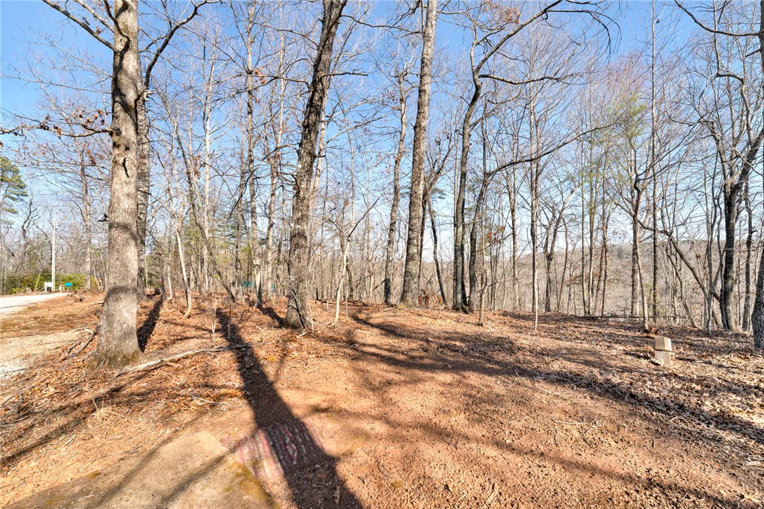 0 Emerald Crest Lane Cleveland, SC 29635 - Photo 14 of 15