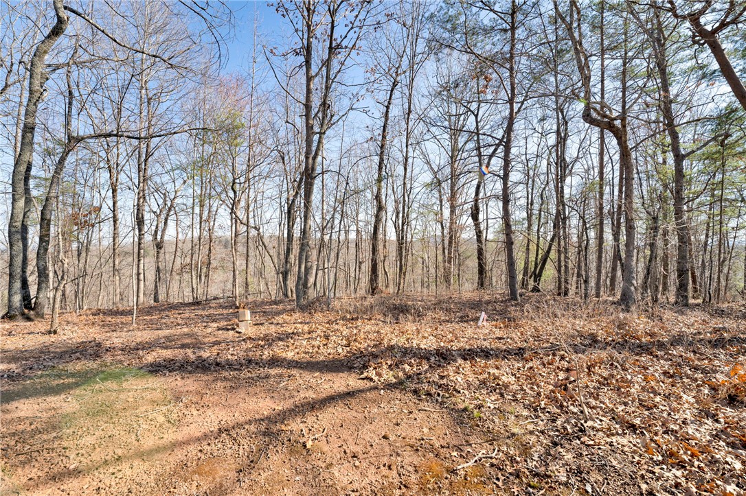 0 Emerald Crest Lane Cleveland, SC 29635 - Photo 15 of 15