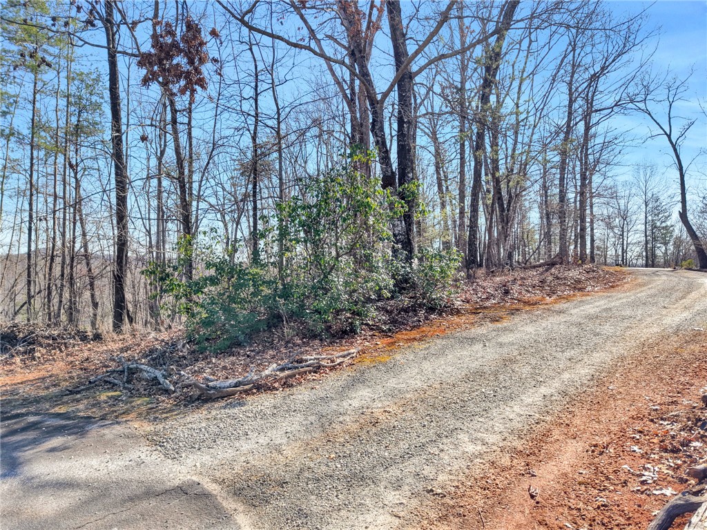 0 Emerald Crest Lane Cleveland, SC 29635 - Photo 2 of 15