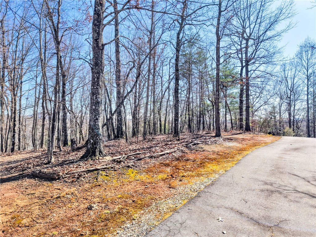0 Emerald Crest Lane Cleveland, SC 29635 - Photo 3 of 15