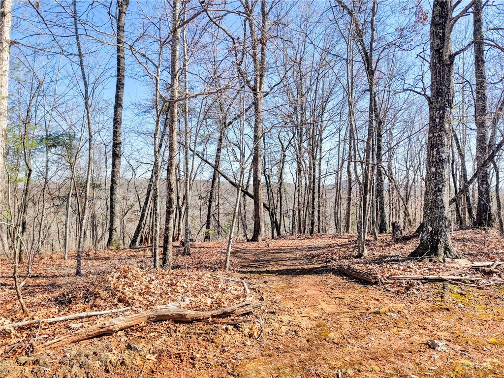 0 Emerald Crest Lane Cleveland, SC 29635 - Photo 4 of 15