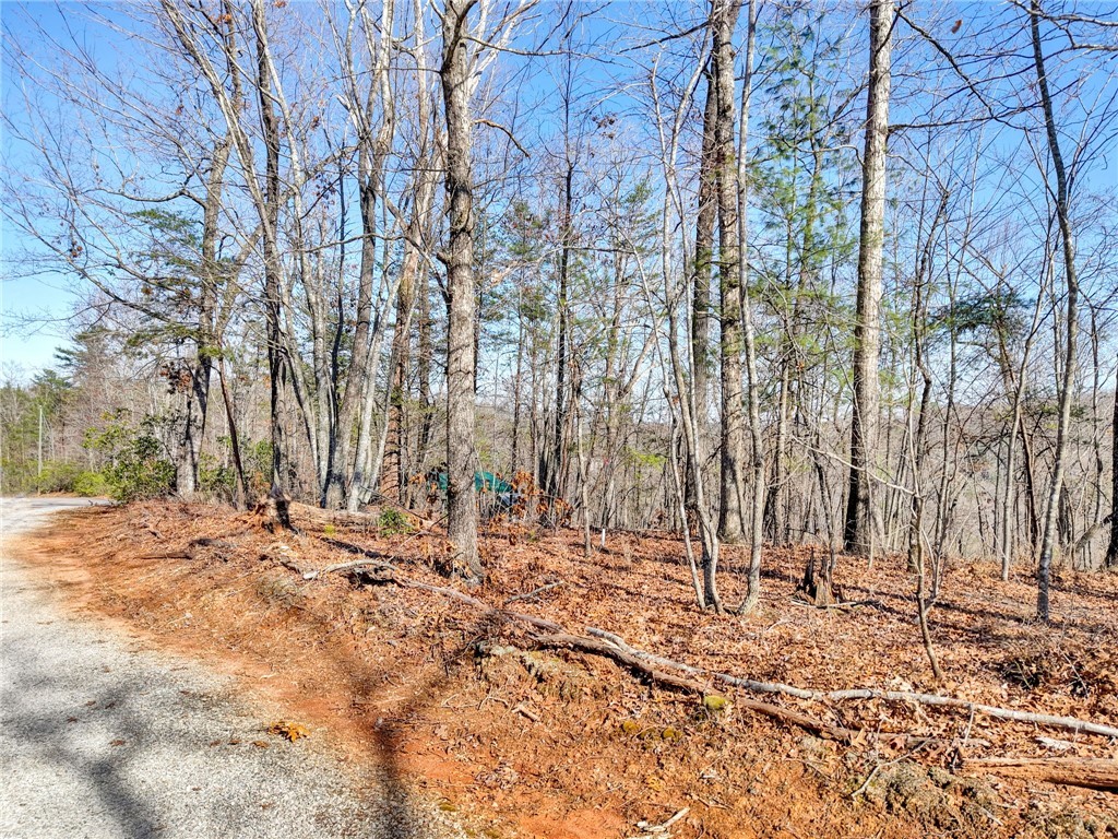 0 Emerald Crest Lane Cleveland, SC 29635 - Photo 5 of 15
