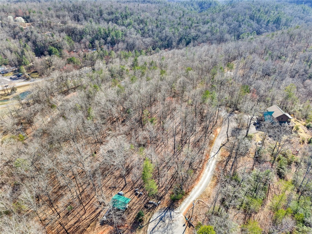 0 Emerald Crest Lane Cleveland, SC 29635 - Photo 6 of 15