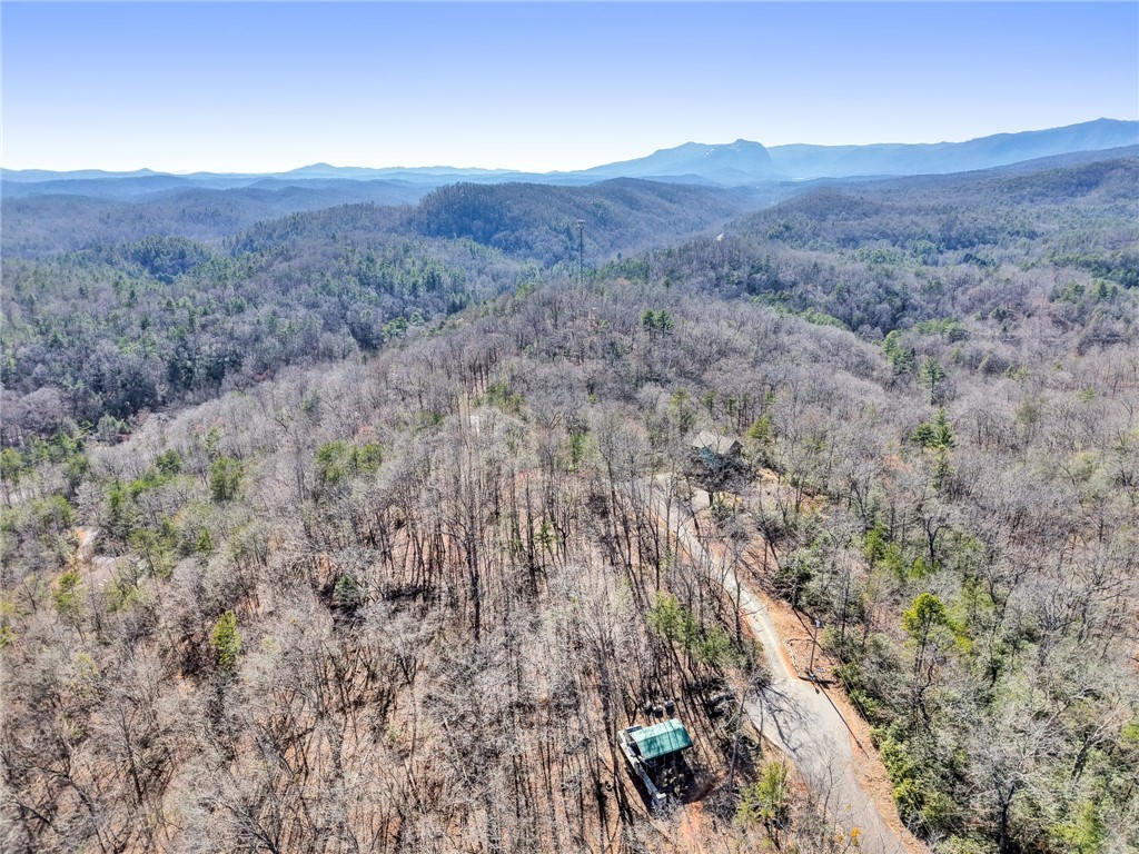 0 Emerald Crest Lane Cleveland, SC 29635 - Photo 8 of 15