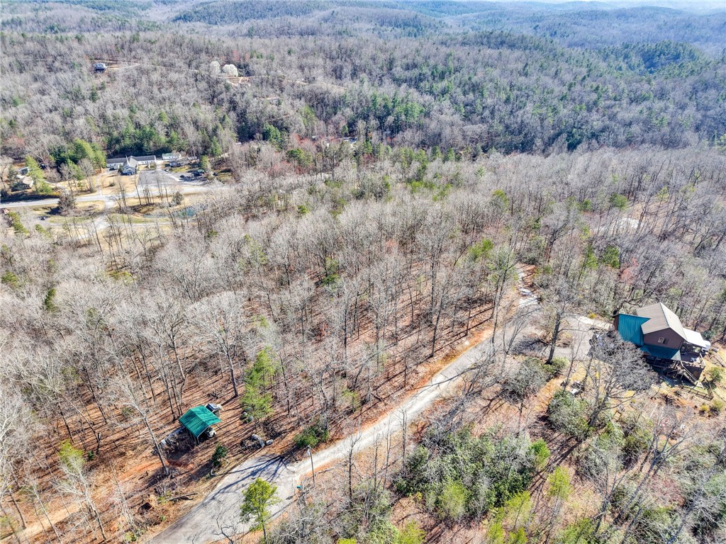 0 Emerald Crest Lane Cleveland, SC 29635 - Photo 9 of 15