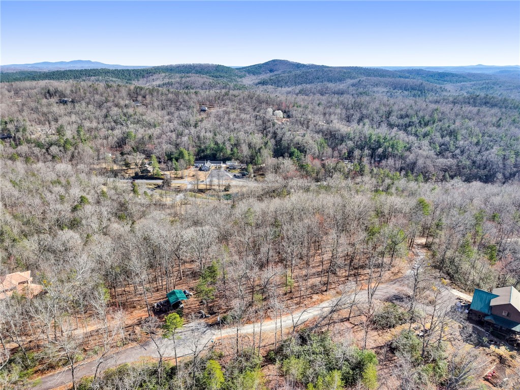 0 Emerald Crest Lane Cleveland, SC 29635 - Photo 10 of 15