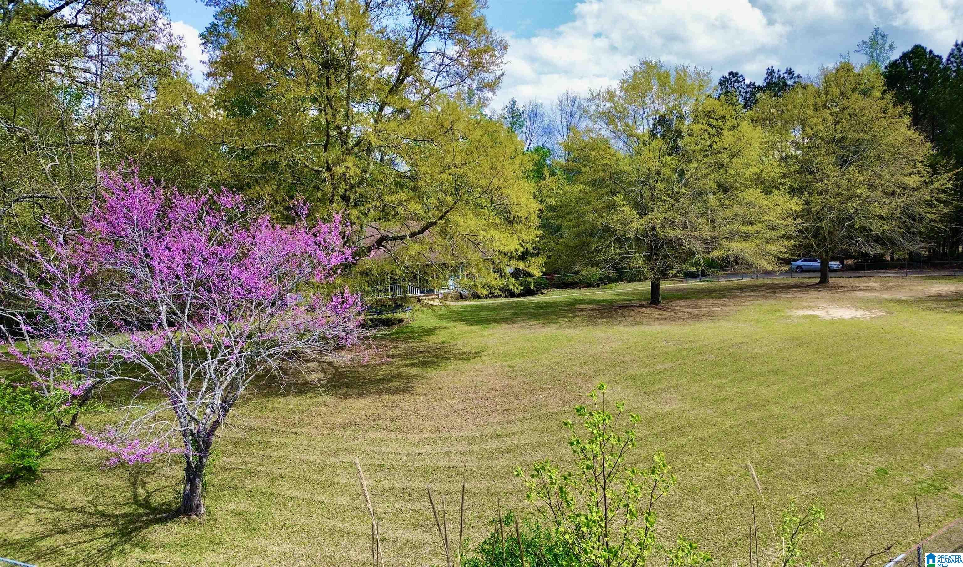 1740 Mt View Road Hayden, AL 35079 - Photo 7 of 71