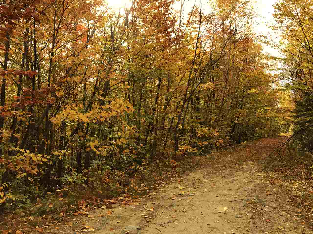 Lot 5 Dodge Road Hebron, NH 03241 - Photo 2 of 10