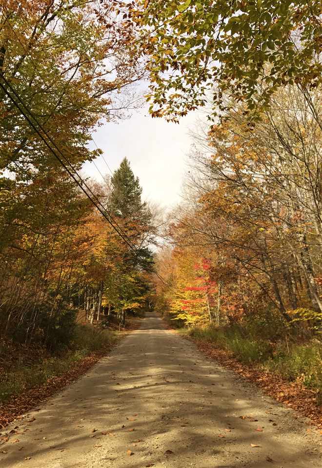 Lot 5 Dodge Road Hebron, NH 03241 - Photo 5 of 10