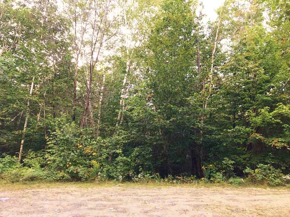 Lot 5 Dodge Road Hebron, NH 03241 - Photo 10 of 10