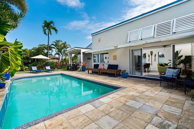 a plant that is in front of a field