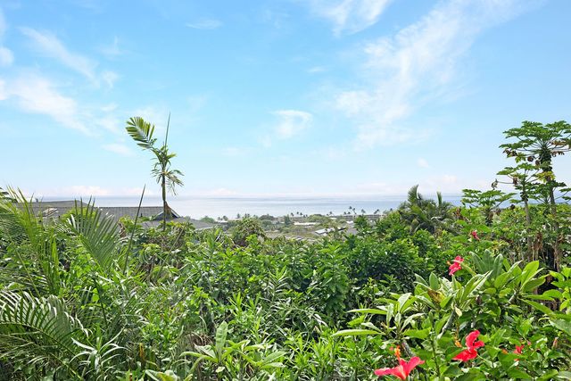 a view of a garden with a building in the background