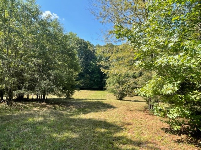 1330 State Rd S-30-83 Laurens, SC 29360 - Photo 12 of 36