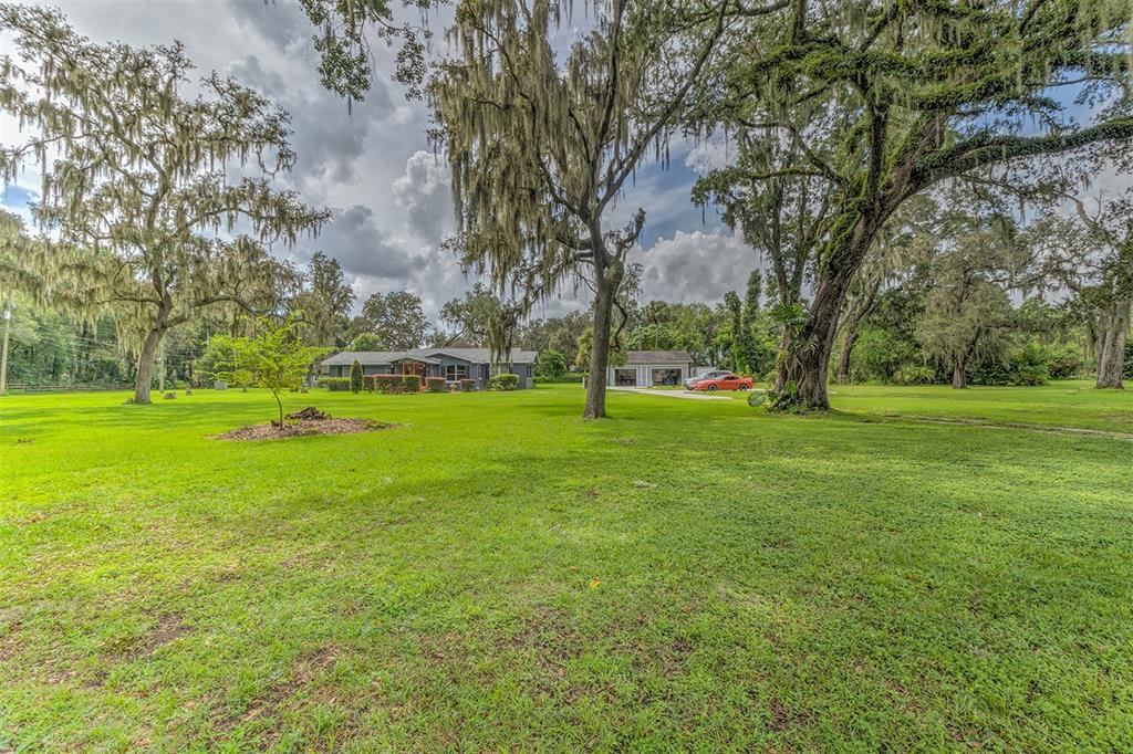 4701 Stearns Road Valrico, FL 33596 - Photo 4 of 44 Privacy