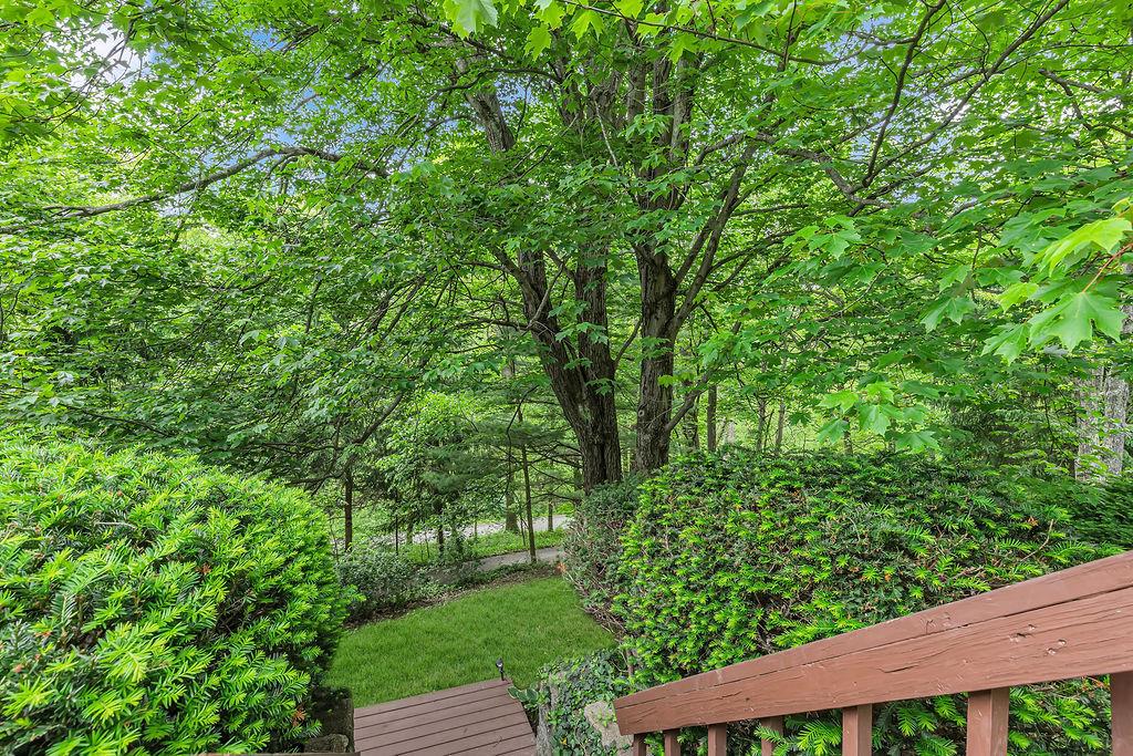 171 Dehaven Road Beaver Falls, PA 15010 - Photo 31 of 35 a view of a yard with plants and large trees