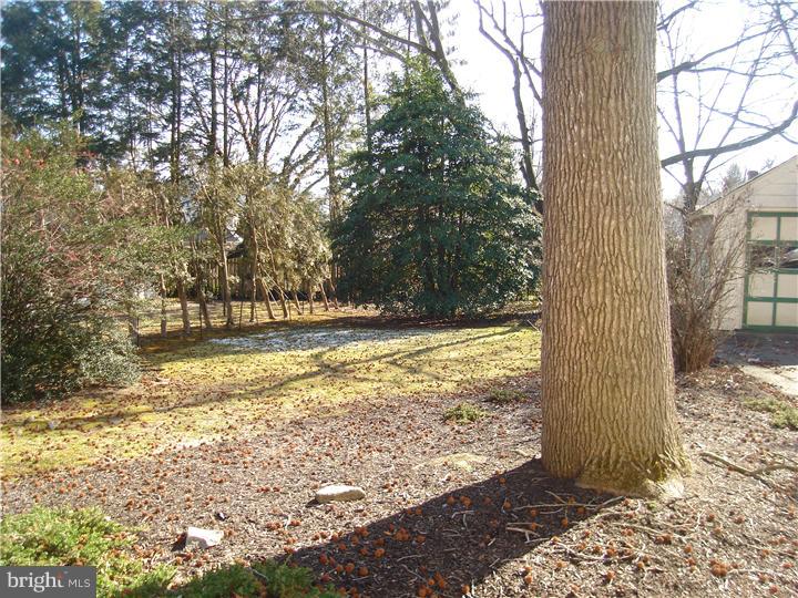 522 Maple Avenue Haddonfield, NJ 08033 - Photo 17 of 20