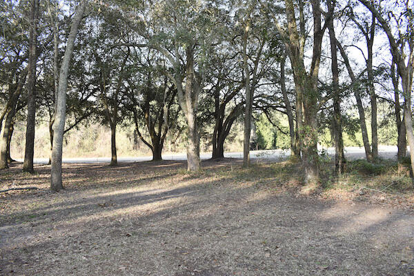 120 Oakview Circle Manning, SC 29102 - Photo 7 of 48 DSC_0156 copy