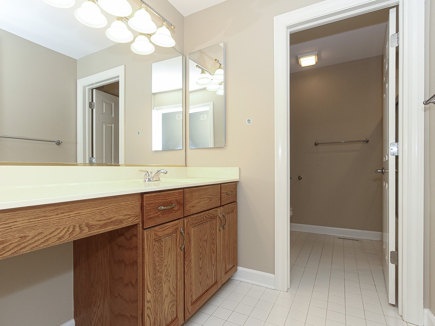 261 Course Drive Lake In The Hills, IL 60156 - Photo 18 of 35 a bathroom with a sink a vanity and a mirror