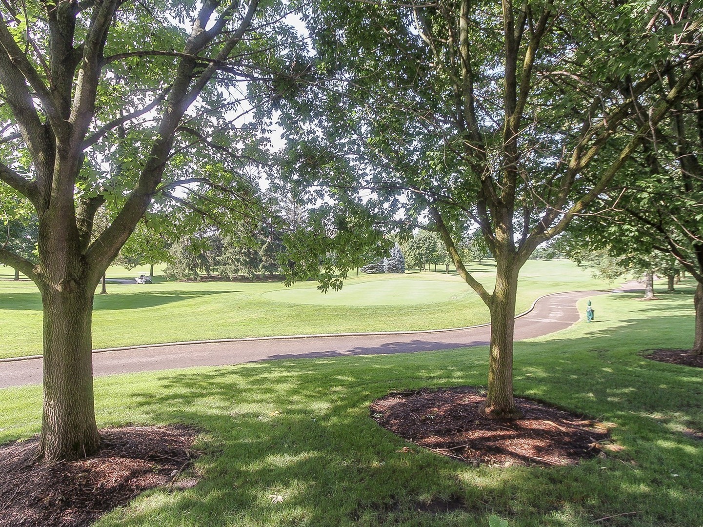 261 Course Drive Lake In The Hills, IL 60156 - Photo 26 of 35 a view of a yard with a tree