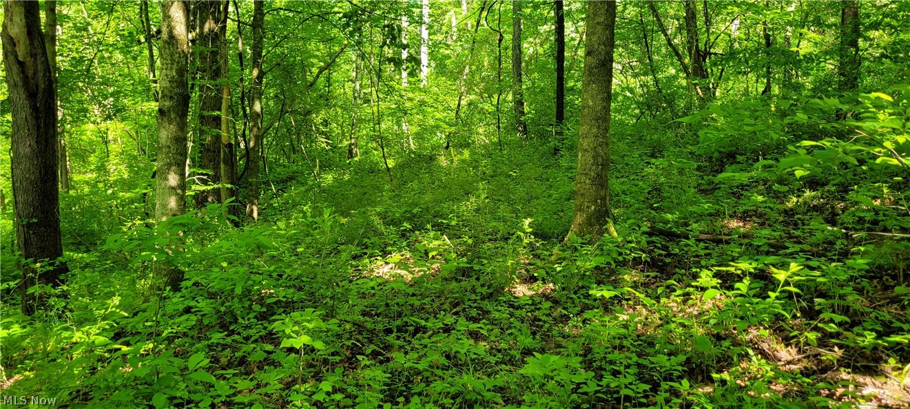 Hollis Clark Road Caldwell, OH 43724 - Photo 14 of 49