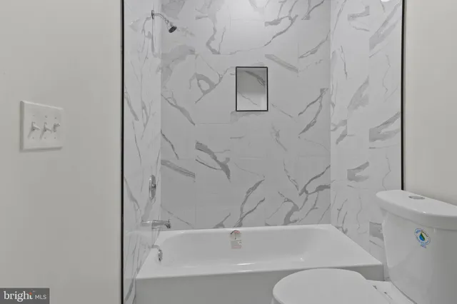 a bathroom with a toilet and a bathtub