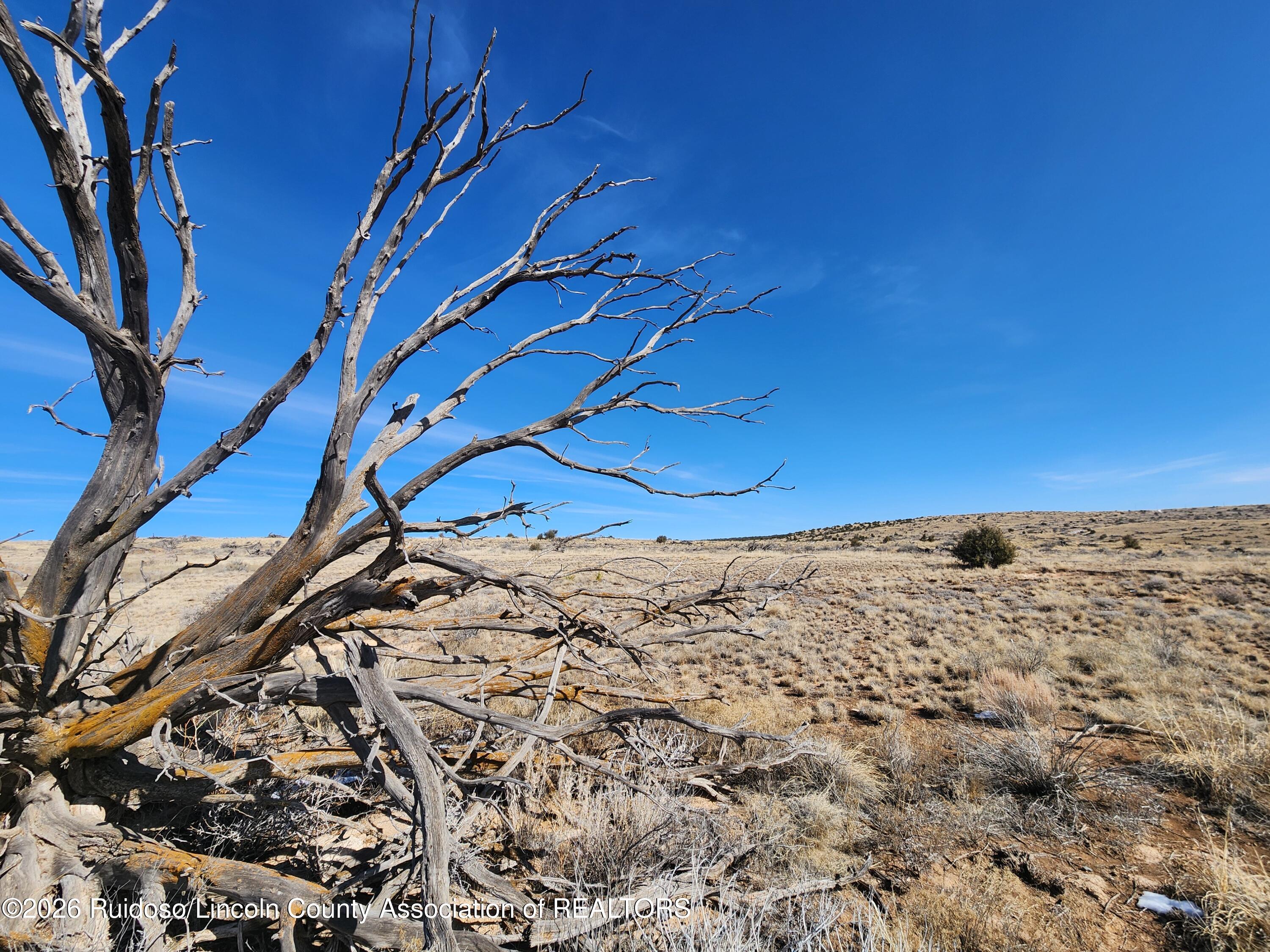 Lot 183 Windmill Road Carrizozo, NM 88301 - Photo 15 of 24 Gallery Image 15