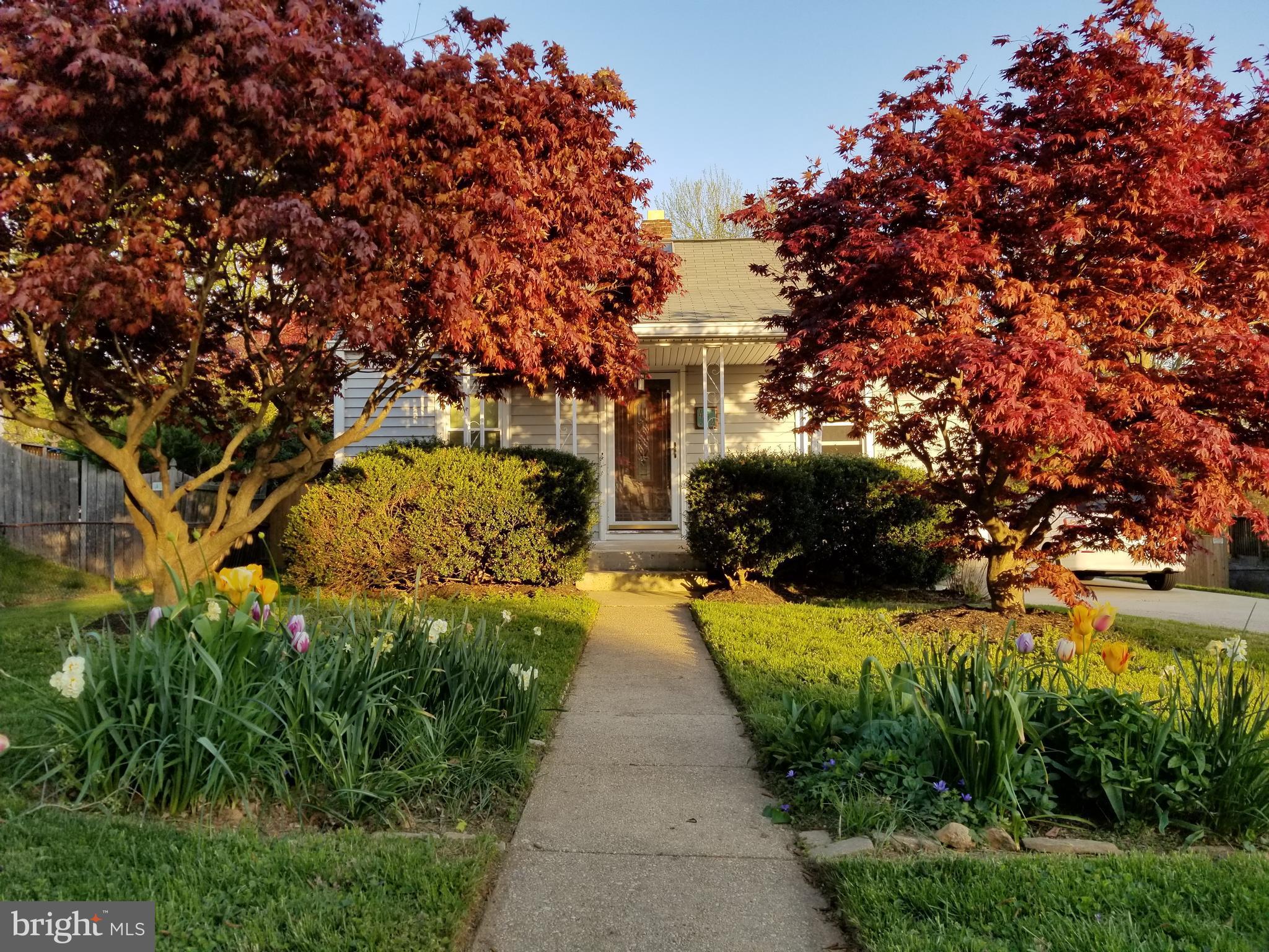 4412 Bennion Road Silver Spring, MD 20906 - Photo 2 of 29 a view of a pathway with a houses