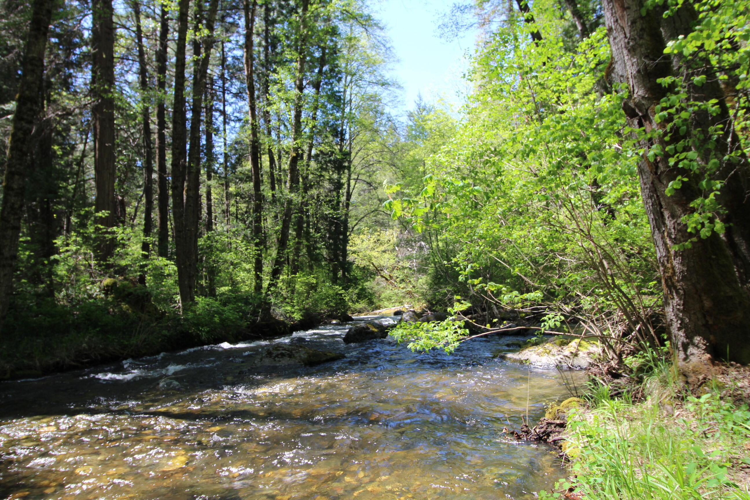 10000 Little Applegate Road Jacksonville, OR 97530 - Photo 141 of 141 trillium down river