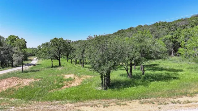 a view of a yard with a tree