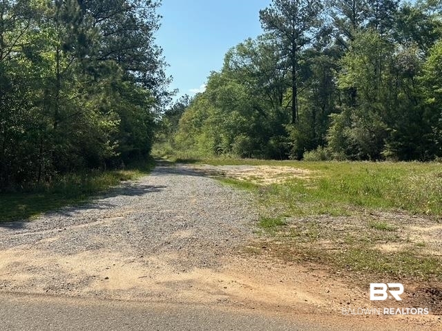 0 I-65 Service Road Satsuma, AL 36572 - Photo 23 of 27 View of street featuring a view of trees