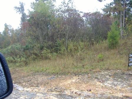 70681 Key Ridge Lane Crawford, TN 38554 - Photo 2 of 6 DSCF3404