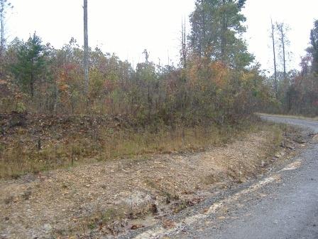 70681 Key Ridge Lane Crawford, TN 38554 - Photo 3 of 6 DSCF3405
