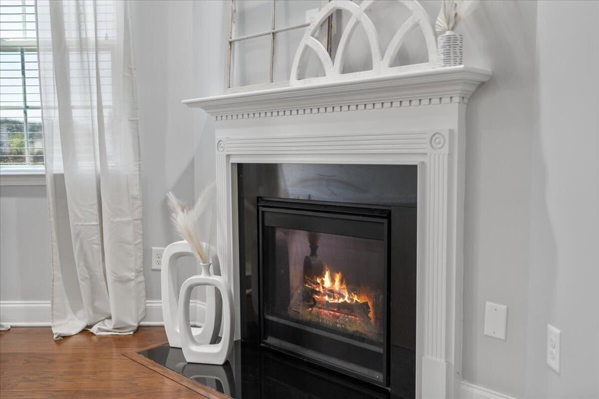 115 Radtko Road Summerville, SC 29486 - Photo 19 of 82 Gas Fireplace