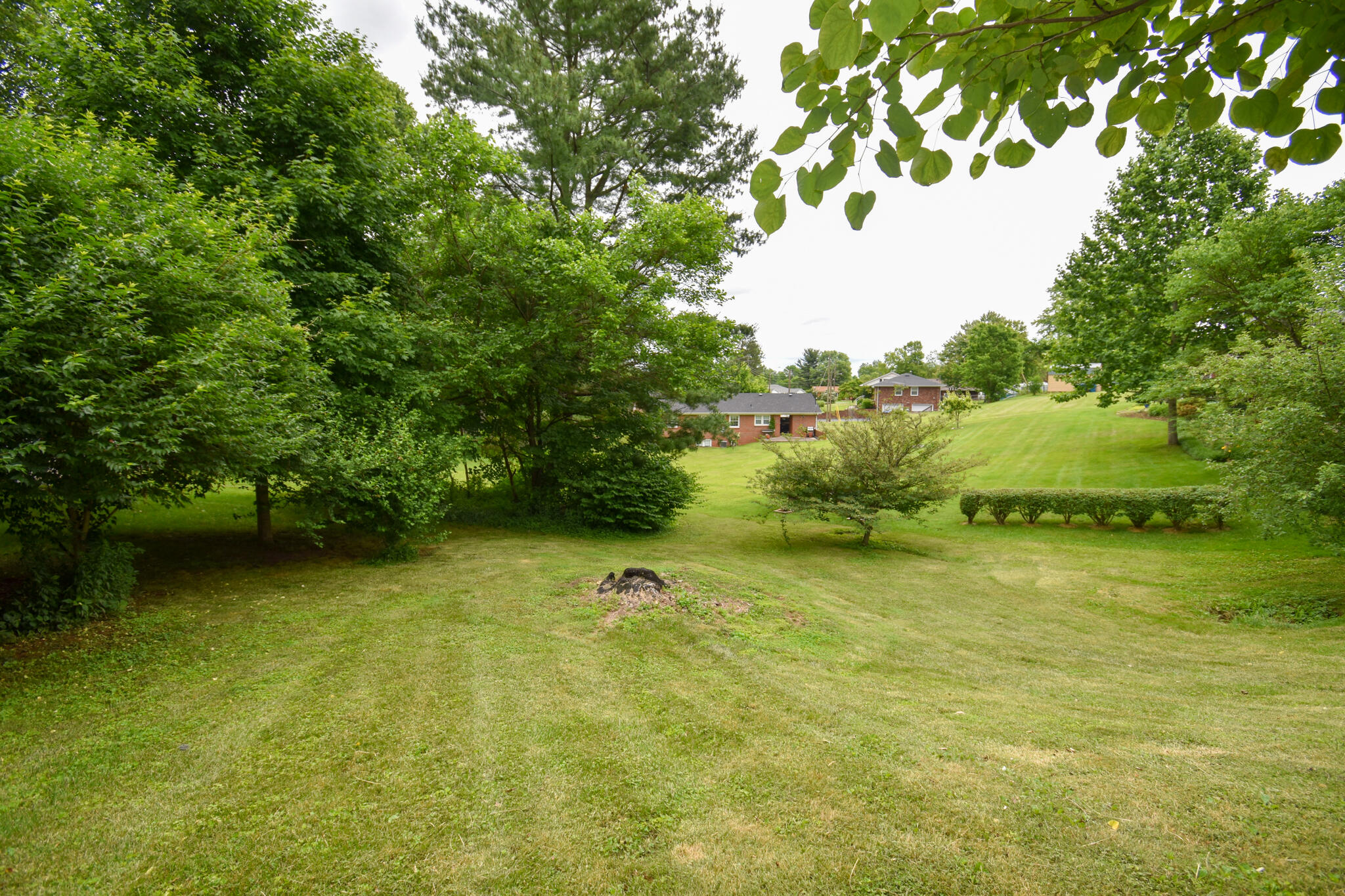 611 Highfield Road Danville, KY 40422 - Photo 9 of 45 DSC_0008-2