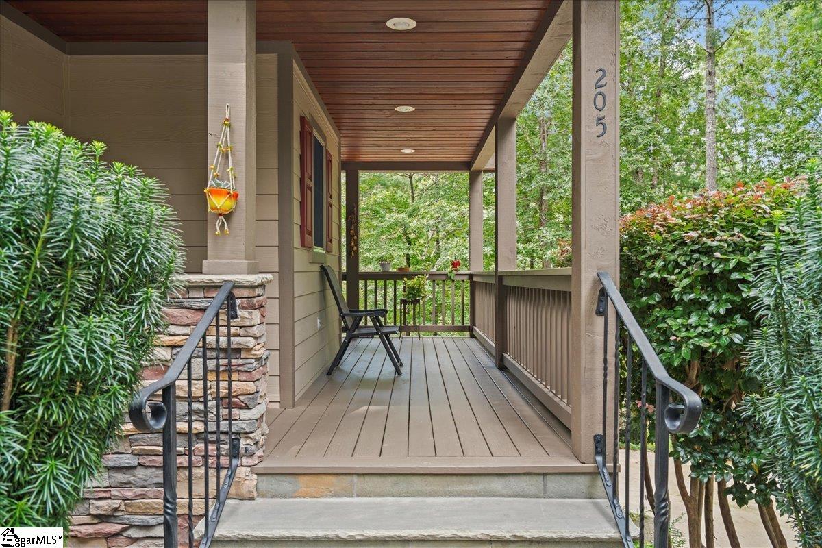 205 Pitcher Plant Lane Sunset, SC 29685 - Photo 6 of 47