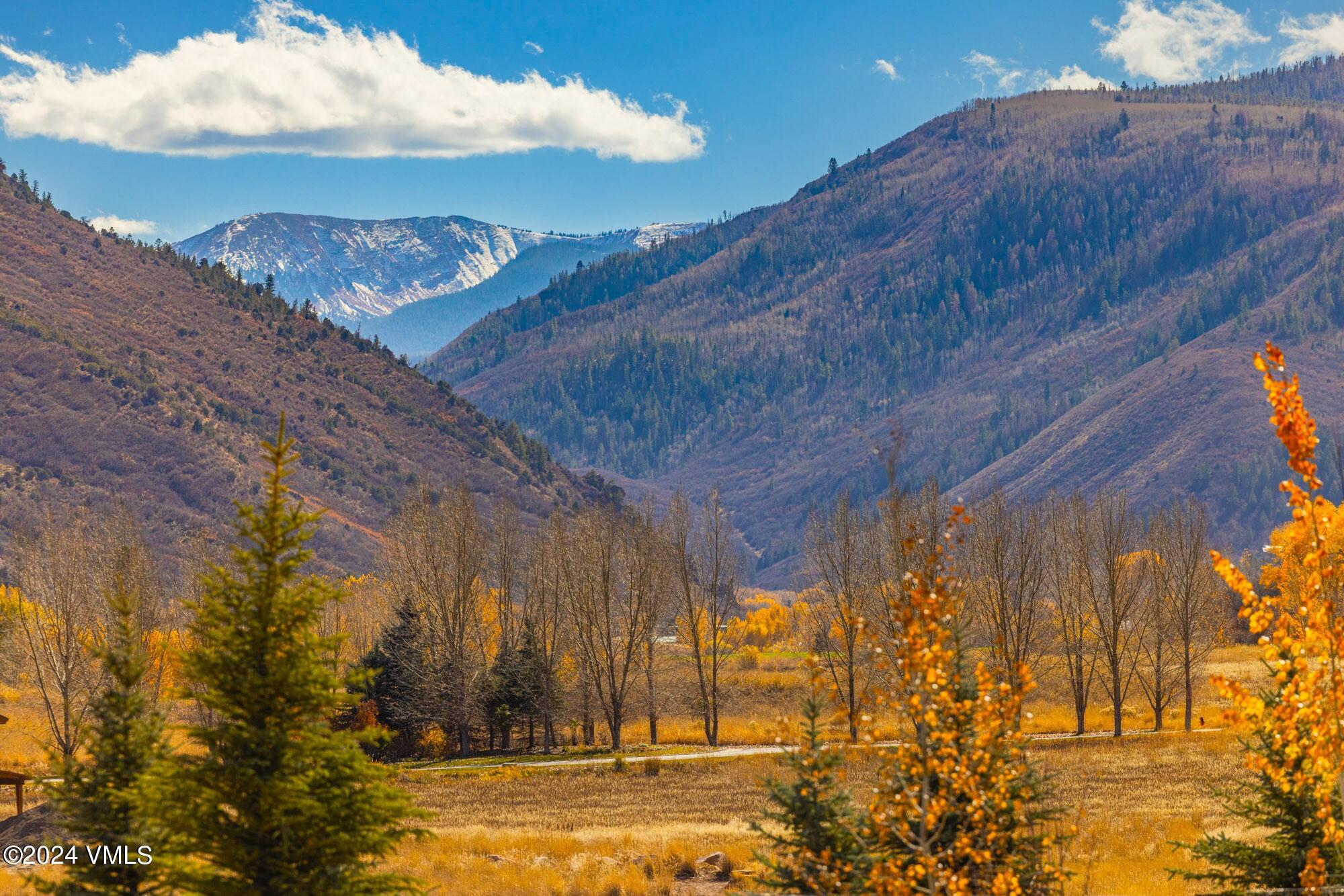 448 Hunters View Lane Eagle, CO 81631 - Photo 4 of 35 052A8943