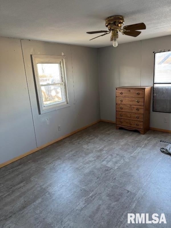 19289 Quiver Beach Road Havana, IL 62644 - Photo 4 of 15