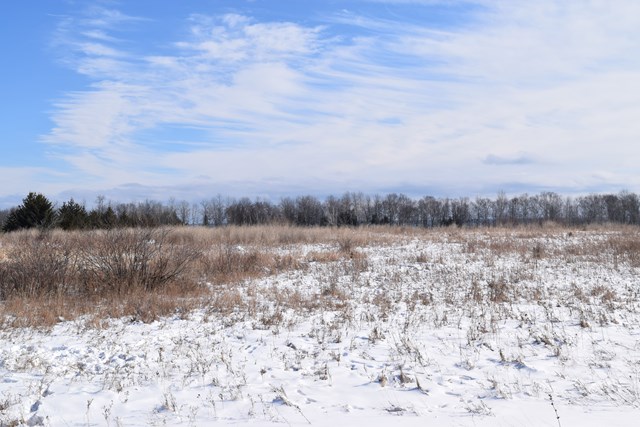 Lot 1 County Road Algoma, WI 54201 - Photo 7 of 13