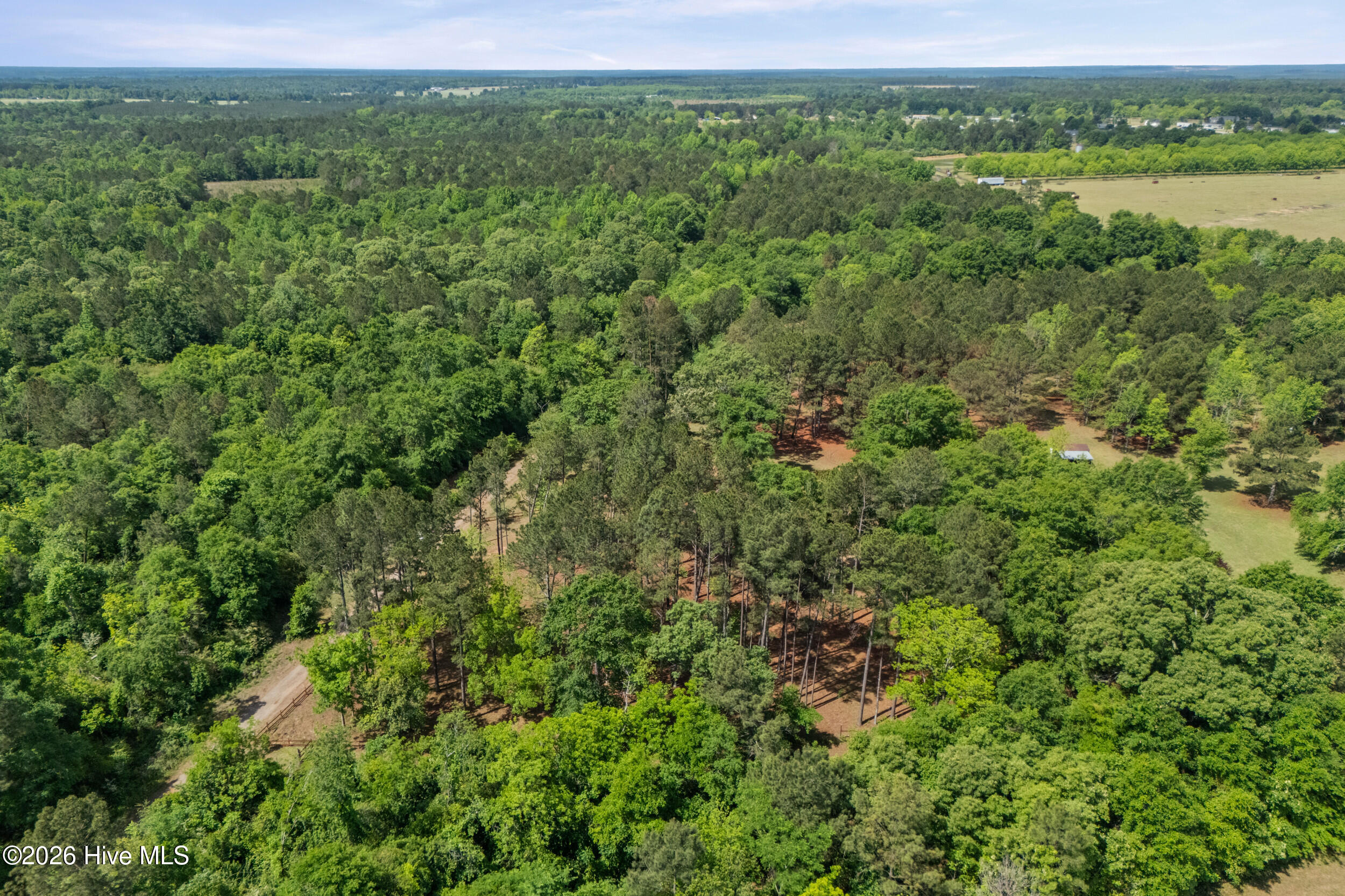 2035 County Line Road Blythe, GA 30805 - Photo 44 of 48 2026-04-29_2035_county_line_rd-srm-44-dr