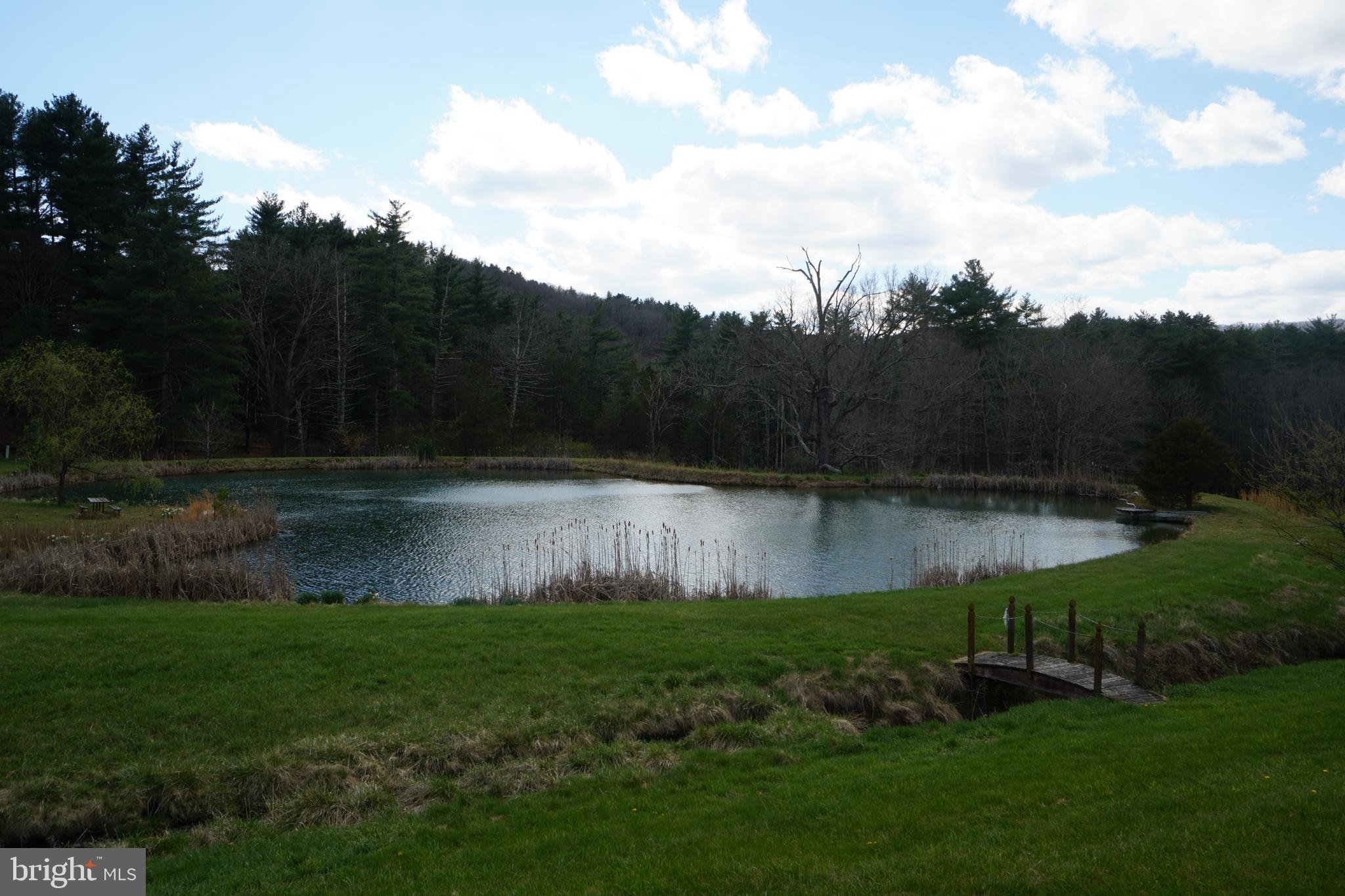 1873 Capito Hill Road Franklin, WV 26807 - Photo 5 of 72 a view of a lake